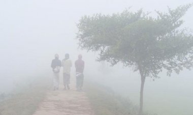 পাঁচ বিভাগে আরও বৃষ্টি, তাপমাত্রা কমতে পারে ৩ ডিগ্রি