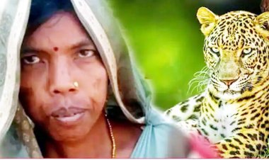 চিতাবাঘের মুখ থেকে ছেলেকে জীবন্ত ফিরিয়ে আনলেন মা