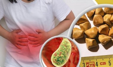 পিত্তথলিতে পাথর হলে বুঝবেন যে ৪ লক্ষণে