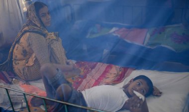 জাওয়াদের প্রভাবে বাড়তে পারে ডেঙ্গু, আশঙ্কা স্বাস্থ্য অধিদফতরের