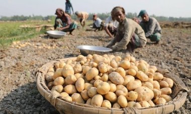 পাঁচ মাসে ৫৫ কোটি ডলারের কৃষিপণ্য রপ্তানি