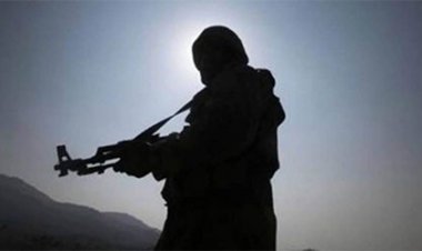 আইএসে ৬৬ জন ভারতীয় বংশোদ্ভূত জঙ্গি : মার্কিন রিপোর্ট