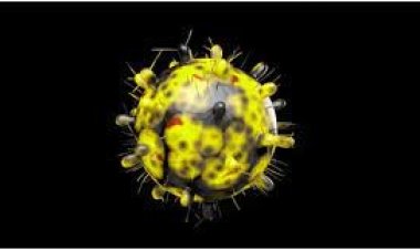 ওমিক্রন পৌঁছেছে ১০৬ দেশে: ডব্লিউএইচও