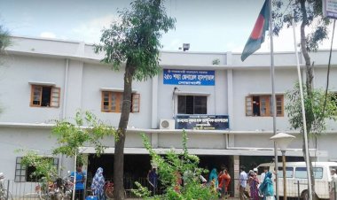 গোঙানি শুনে মা গিয়ে দেখেন, আড়ার সঙ্গে ঝুলছে মেয়ে