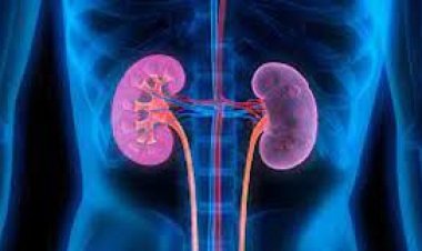 যেসব লক্ষণে কিডনি জটিলতার ইঙ্গিত পাওয়া যায়