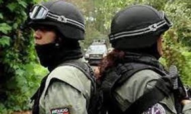 মেক্সিকোতে বন্দুক হামলায় শিশুসহ নিহত ৮