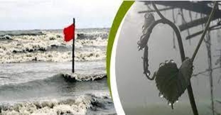 নামলো সতর্ক সংকেত, তাপমাত্রা কমে জেঁকে বসবে শীত