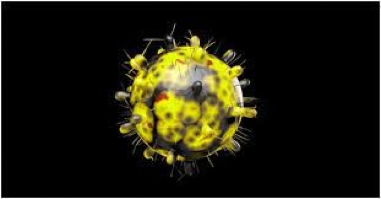 ওমিক্রন পৌঁছেছে ১০৬ দেশে: ডব্লিউএইচও