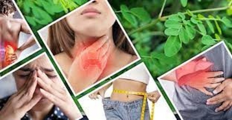 এক পাতায় ৩০০ রোগের সমাধান