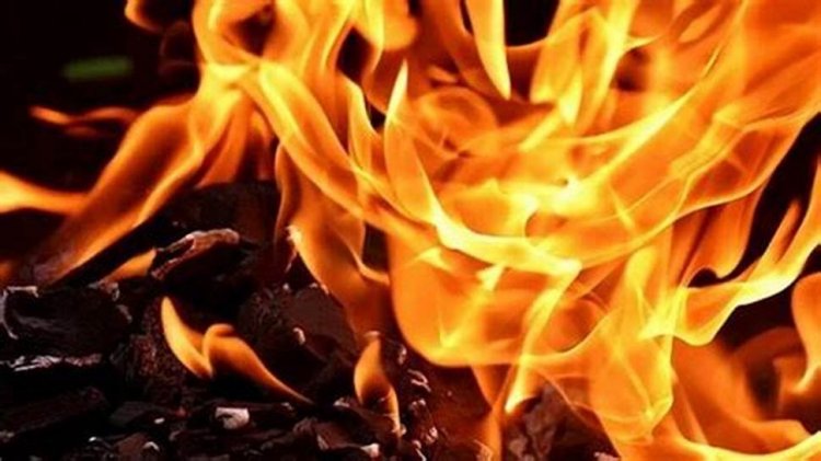 নেত্রকোনায় গরু ব্যবসায়ীকে পুড়িয়ে হত্যা