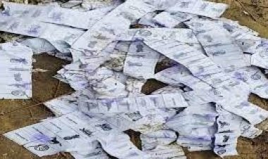 নির্বাচনের ৯ দিন পর সিলমারা ব্যালট পেপার উদ্ধার