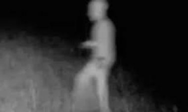 গায়ে পোশাক নেই, ক্যামেরায় কি ধরা পড়ল নগ্ন ভিন্‌গ্রহী!