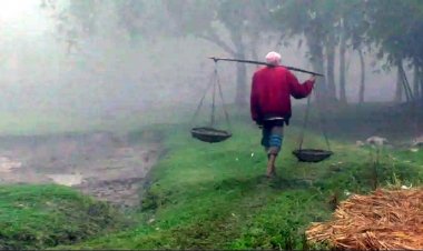 এমাসেই তীব্র ৩ শৈত্যপ্রবাহ