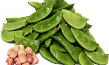 শিমে পাবেন ১০ রোগের সমাধান