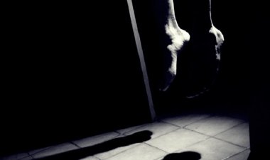 কাপাসিয়ায় স্বামী-স্ত্রীর ঝুলন্ত লাশ উদ্ধার