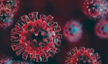 একদিনে শনাক্তে ফের রেকর্ড, মৃত্যু ৭২৯৯