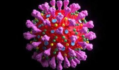 করোনা সংক্রমণের রেড জোনে আরও ১০ জেলা