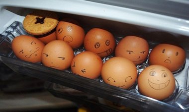 ডিম ফ্রিজে রাখলে কী হয়, জানুন