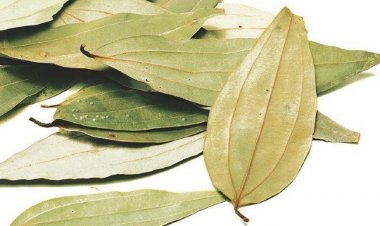 খুশকি থেকে ব্রণ, তেজপাতায় সমাধান 