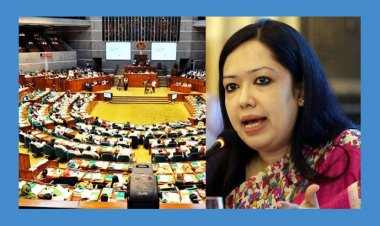 যুক্তরাষ্ট্রে লবিস্ট নিয়োগ নিয়ে সংসদে রুমিন ফারহানা বললেন