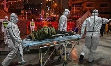 করোনায় বিশ্বে মৃত্যু ছাড়ালো ৫৬ লাখ ৩৫ হাজার, শনাক্ত ৩৬ কোটি ৫৬ লাখ