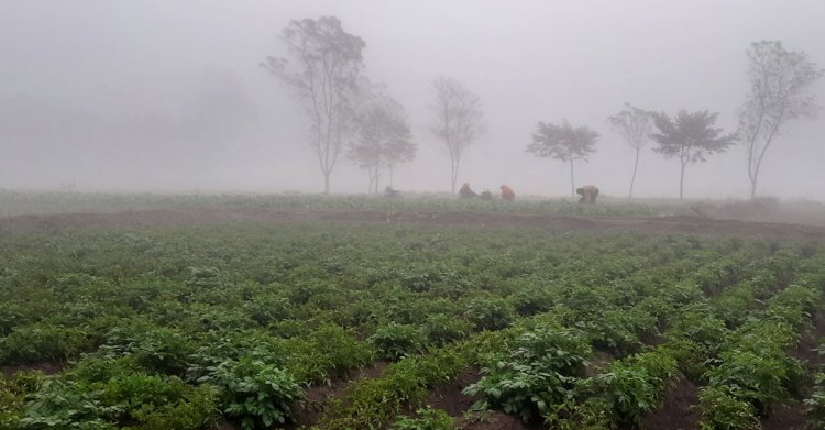 দেশের মধ্যে সর্বনিম্ন তাপমাত্রায় কাঁপছে পঞ্চগড়