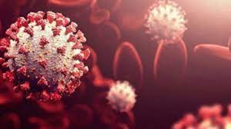 কয়েক সপ্তাহের মধ্যেই ওমিক্রনে আক্রান্ত হবে ইউরোপের অর্ধেক মানুষ’