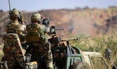 মালিতে যৌথ অভিযানে ৩০ জঙ্গি নিহত 