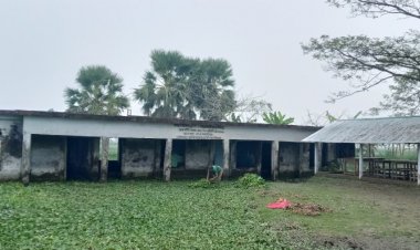 সমনডাঙা সরকারি প্রাথমিক বিদ্যালয় নয়, যেন ডোবা