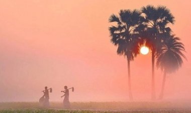 বিদায় নিলো মৌসুমের শেষ শৈত্যপ্রবাহ, আগামী সপ্তাহে বৃষ্টি