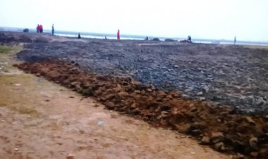 নির্বাচিত হতে না হতেই সরকারি জমি দখল