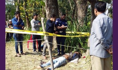 ভাণ্ডারিয়ায় ধান ক্ষেতে মিলল যুবকের লাশ