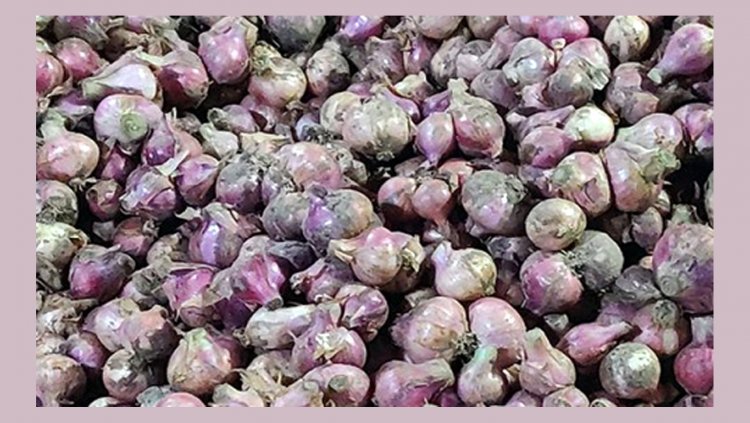 পেঁয়াজের দাম কেজিতে বেড়েছে ২৫ টাকা