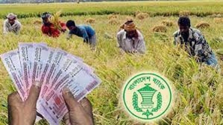 ঋণ পৌঁছে যাবে কৃষকের ঘরে, সুদহার ১১ শতাংশ