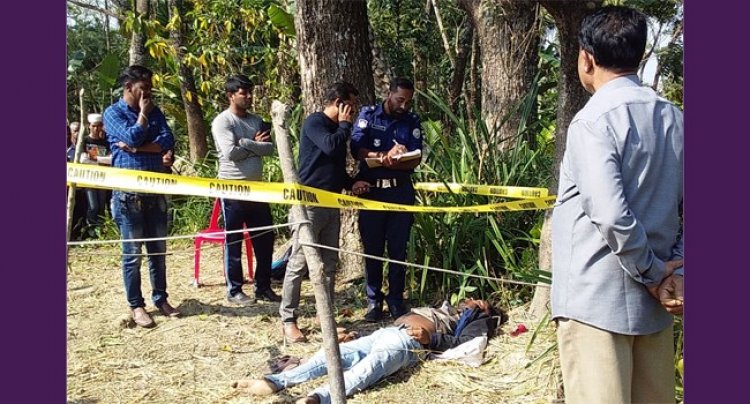 ভাণ্ডারিয়ায় ধান ক্ষেতে মিলল যুবকের লাশ
