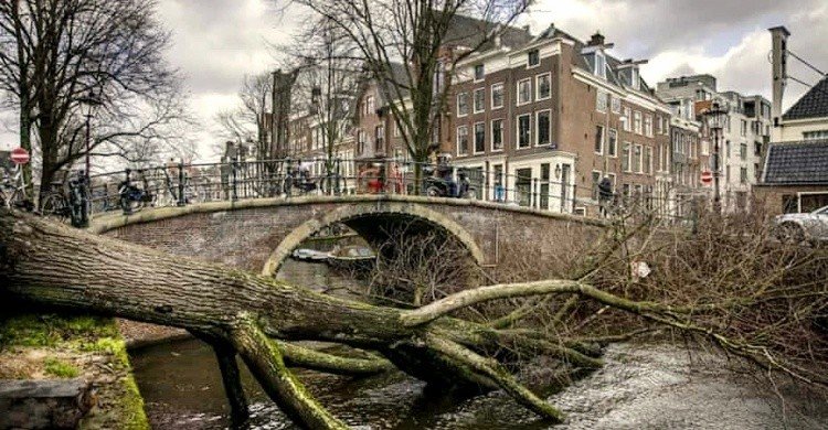 ইউরোপে ঘূর্ণিঝড় ইউনিসের আঘাতে আটজনের মৃত্যু