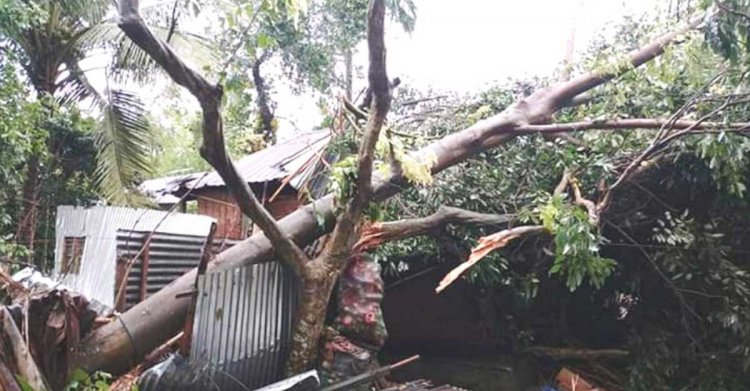লালমনিরহাটে ঝড়-শিলাবৃষ্টিতে বাড়িঘর লন্ডভন্ড 