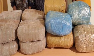 রাজধানীতে ৩২ কেজি গাঁজাসহ ৪ জন গ্রেফতার