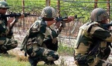  সহকর্মীর গুলিতে প্রাণ গেলো ৪ বিএসএফ সদস্যের