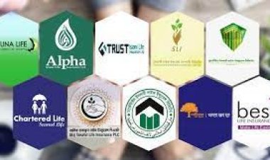 সিইও সংকটে নতুন বিমা কোম্পানিগুলো