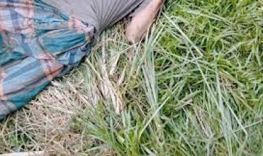 নরসিংদীতে রাজমিস্ত্রির গলাকাটা মরদেহ উদ্ধার