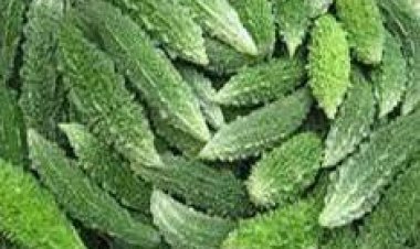 করলার কেজি ১৬০ টাকা