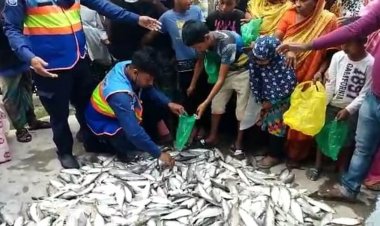 মুন্সিগঞ্জে ১৬ মণ জাটকা জব্দ