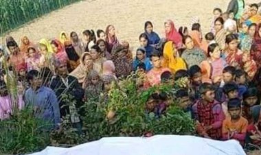 সড়কে মারা গেলেন দুই মামা, হাসপাতালে ভাগনি