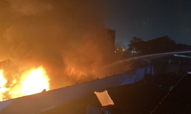  কলকাতায় কারখানায় আগুন, নিয়ন্ত্রণে আসেনি ১৪ ঘণ্টায়ও