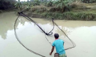 পুকুরে জেলের জালে উঠে এলো শিশুর লাশ