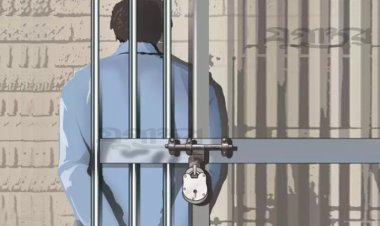 দেশে ফিরলেন লিবিয়ার কারাগার থেকে মুক্ত ৩ যুবক