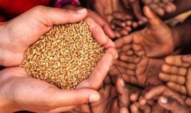  ইউক্রেন যুদ্ধে খাদ্য সংকটের মুখোমুখি বিশ্ব