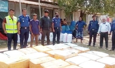 মানবদেহের জন্য ক্ষতিকর জেলি মেশানো চিংড়ি জব্দ, আটক ২