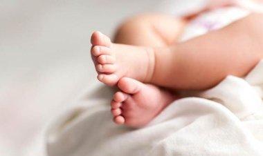 ময়লার স্তূপে নবজাতকের মরদেহ